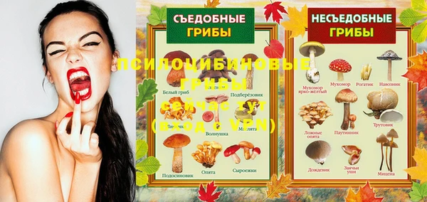 марихуана Медногорск